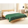 Colcha Cama Manta Decorativa Estampado Poliéster Verde 200 X 220 Cm Nape - Verde