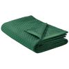 Colcha Cama Manta Decorativa Estampado Poliéster Verde 220 X 240 Cm Nape - Verde