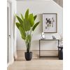 Planta Artificial En Maceta Para Interior Decoración Moderna De Plástico Maceta Negra 187 Cm Banana Tree - Verde