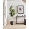 Planta Artificial En Maceta Para Interior Decoración De Plástico Maceta Negra 160 Cm Ficus Elastica - Verde