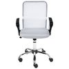 Silla De Oficina De Escritorio Giratoria Ajustable En Altura Tapicería De Malla Blanco Crema Best - Blanco