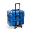 Bolsa Isotérmica Para Extracciones De Muestras | Azul | Elite Bags