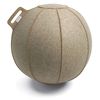 Pelota De Asiento Velt Para El Interior De 60x65cm De Vluv Color Greige/brown