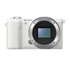 Sony A6100 White Kit Selp 16-50mm F3.5-5.6 Oss Silver