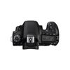 Canon Eos 90d Kit Ef-s 18-55mm F3.5-5.6 Is Stm