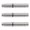 Trinidad Darts Leon Type 3 18.5g