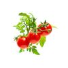 Click & Grow - Mini Tomate Pods, 3-pack