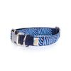 Collar Para Perros Funny Cebra Azul Pamppy 45 Cm