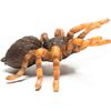 Collecta - Tarantula De Anillos Rojos -l- 88338 (90188338)