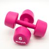 2 Mancuernas De 6 Kg Ziva Chic Studio Rosa