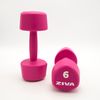 2 Mancuernas De 6 Kg Ziva Chic Studio Rosa