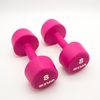 2 Mancuernas De 8 Kg Ziva Chic Studio Rosa