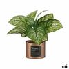 Planta Decorativa Home Cobre Lata (26 X 26 X 26 Cm) (6 Unidades)