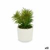 Planta Decorativa Blanco Verde (14 X 20 X 14 Cm) (12 Unidades)