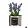 Planta Decorativa Plástico Lavanda Lata 6 Unidades