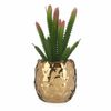 Planta Decorativa Cerámica Dorado Cactus Verde Plástico 6 Unidades