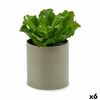 Planta Decorativa 20 X 25 X 20 Cm (6 Unidades)