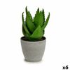 Planta Decorativa Aloe Vera 15 X 23,5 X 15 Cm Gris Verde Plástico (6 Unidades)