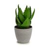 Planta Decorativa Aloe Vera 15 X 23,5 X 15 Cm Gris Verde Plástico (6 Unidades)