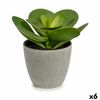 Planta Decorativa 18 X 18,5 X 18 Cm Gris Verde Plástico (6 Unidades)