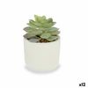 Planta Decorativa Suculenta Plástico 14 X 13,5 X 14 Cm (12 Unidades)