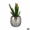 Planta Decorativa Cactus Cerámica Plástico 10 X 20 X 10 Cm (6 Unidades)