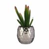 Planta Decorativa Cactus Cerámica Plástico 10 X 20 X 10 Cm (6 Unidades)