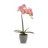 Planta Decorativa Orquídea Plástico 13 X 39 X 22 Cm (6 Unidades)