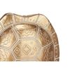 Figura Decorativa Tortuga Dorado 17,5 X 36 X 10,5 Cm (4 Unidades)