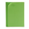 Goma Eva Verde 65 X 0,2 X 45 Cm (12 Unidades)