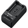 Sony Bc-trw Charger