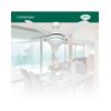 Ventilador De Techo Con Luz Hunter 50613 Contempo Blanco O Roble Claro / Blanco