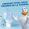 Pato Active Clean 1+1 - Colgador Wc, Frescor Intenso, Perfuma Limpia Y Desinfecta El Inodoro, Aroma Pino. (pack 8 Unidades)