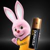 Duracell Plus 100 Batteria Monouso Stilo Aa Alcalino