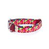 Collar Para Perros Funny Chocolatinas Pamppy 55 Cm