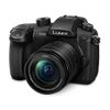 Panasonic Dmc-gh5 Black Kit 12-60mm F2.8-4.0 Asph Black + Camera Bag