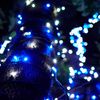 50 Luces Led Decorativa Azul