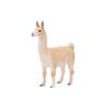 Llama