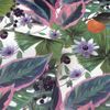 Papel Pintado Passion Flower Blanco Y Verde Dutch Wallcoverings