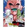 Póster 3d Protectors & Destroyers Dragon Ball Z Collectors Limited Edition