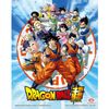 Póster 3d Goku & The Z Fighters Dragon Ball Z Collectors Limited Edition