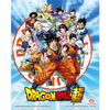 Póster 3d Goku & The Z Fighters Dragon Ball Z Collectors Limited Edition