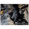 Puzzle Batman (1000 Piezas)