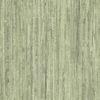 Papel De Pared Natural Grasses Wicker Verde Noordwand