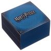 Pulsera Harry Potter Plata Adulto