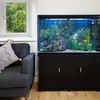 Acuario De 300l Con Mueble Negro, Accesorios Y Grava Blanca