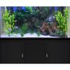 Acuario De 300l Con Mueble Negro, Accesorios Y Grava Blanca