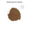 Triphala De Hsn | 30 Cápsulas Vegetales 6000 Mg Equivalencia Fruto (extracto 1000 Mg, 50% Taninos, 11% Ácido Gálico) Por Dosis Diaria | 6x Veces Más Concentrado | No-gmo, Vegano, Sin Gluten