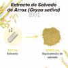 Extracto De Salvado De Arroz - Oryza Sativa - De Hsn | 120 Cápsulas Vegetales Con 98% Gamma-oryzanol - Origen 100% Natural - Con Magnesio, Zinc, Y Vitamina B1 | No-gmo, Vegano, Sin Gluten