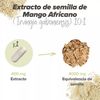 Extracto De Mango Africano 400 Mg - Irvingia Gabonensis - De Hsn | 120 Cápsulas Vegetales 8000 Mg Equivalencia Semilla | 10x Veces Más Concentrado | No-gmo, Vegano, Sin Gluten